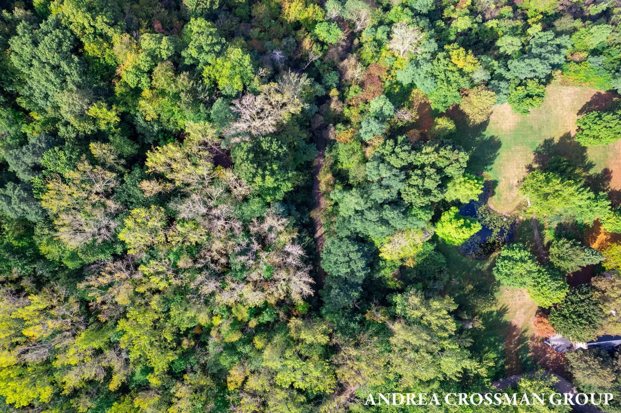 500 Blue Star Highway , 21 Acres, South Haven, MI 49090, South Haven, Michigan, United States. - Photo 2