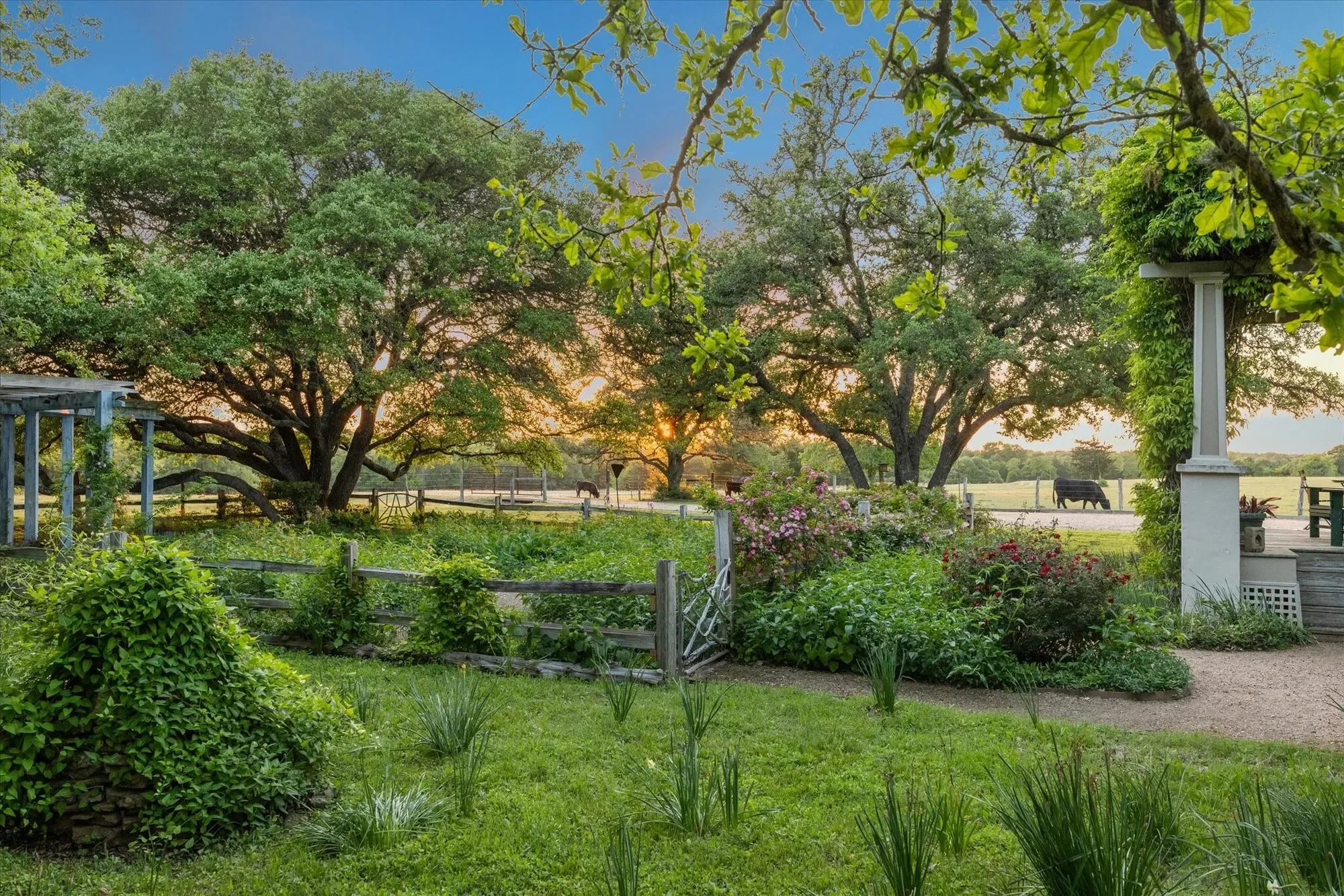 2915 Schulle Road, Round Top, TX 78954, Round Top, Texas, United States. - Photo 7