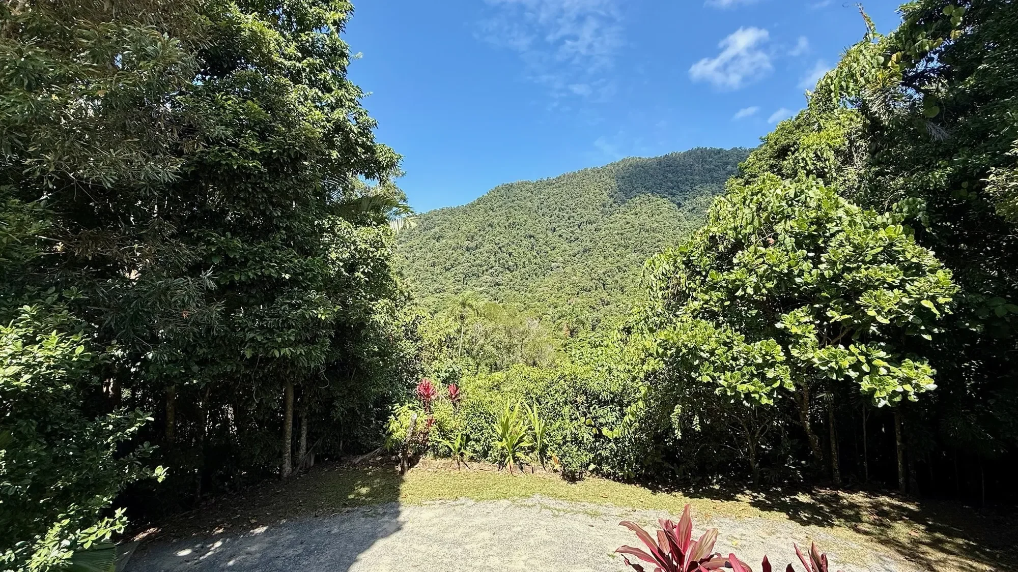 Cow Bay, Kauri Cl, Cow Bay, Queensland, Australia. - Photo 24