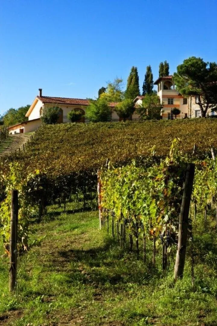 Cremolino, Piedmont, Italy. - Photo 12