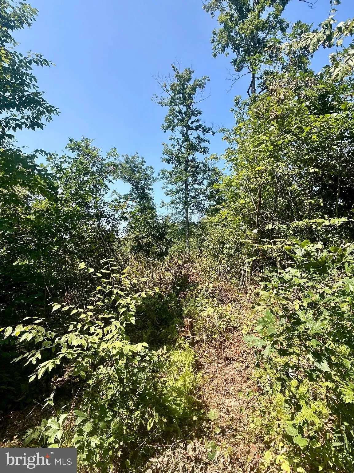 31-36 BEECH CREEK MOUNTAIN RD ROAD, BEECH CREEK, PA 16822, Beech Creek, Pennsylvania, United States. - Photo 11