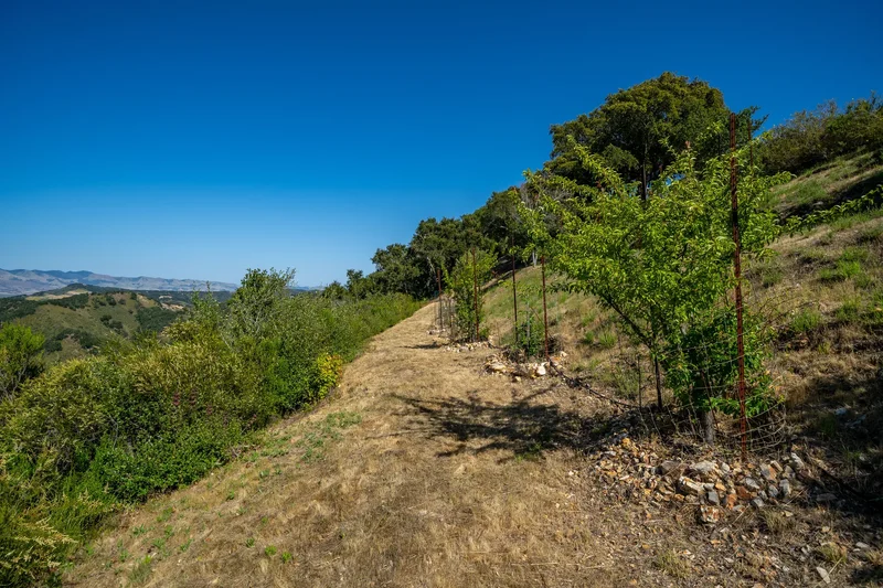 2650 Skyview Trail , San Luis Obispo, CA 93405, San Luis Obispo, California, United States. - Photo 59