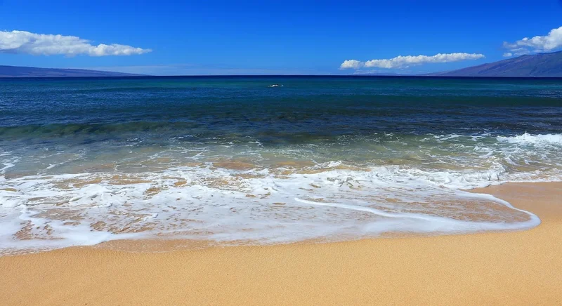 110 KAANAPALI SHORES Pl, Lahaina, HI 96761, Lahaina, Hawaii, United States. - Photo 25