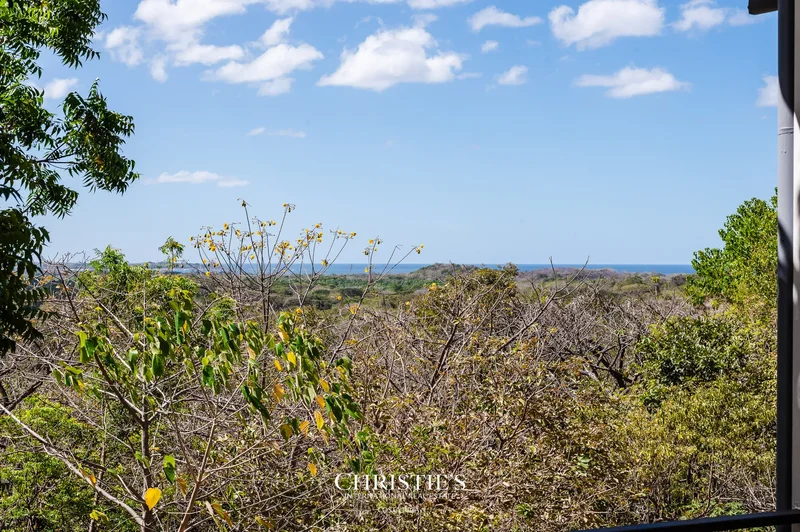Playa Grande, Playa Grande, Guanacaste Province, Costa Rica. - Photo 14