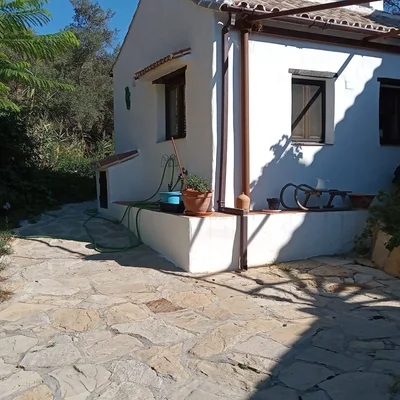 Thumbnail 14