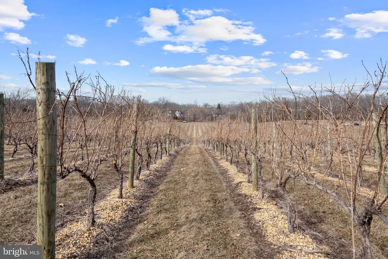 101 GRIFFIN RD ROAD, MULLICA HILL, NJ 08062, Harrison Township, New Jersey, United States. - Photo 28
