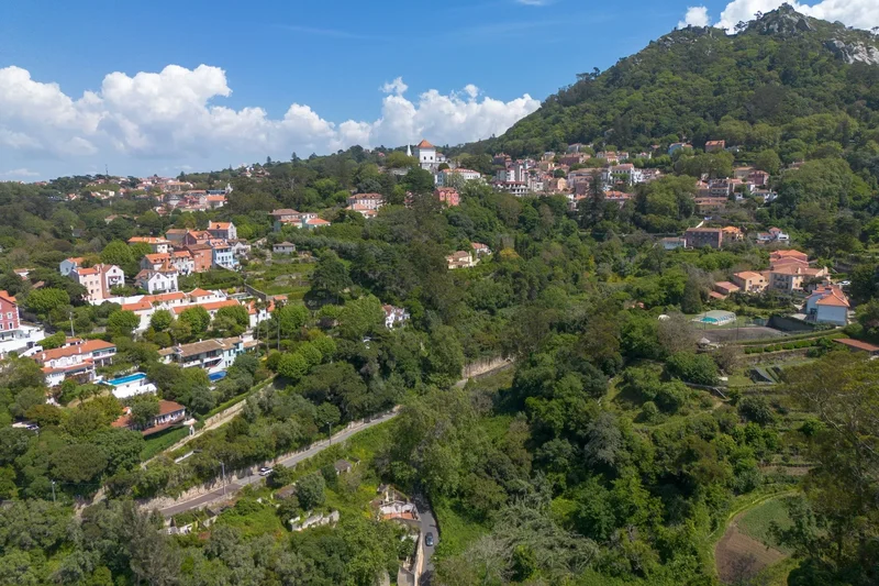 Sintra, Sintra, Lisbon, Portugal. - Photo 18