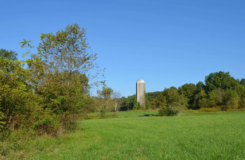 291 Ray Hodgin Rd, Crossville, TN 38571, Crossville, Tennessee, United States. - Photo 27
