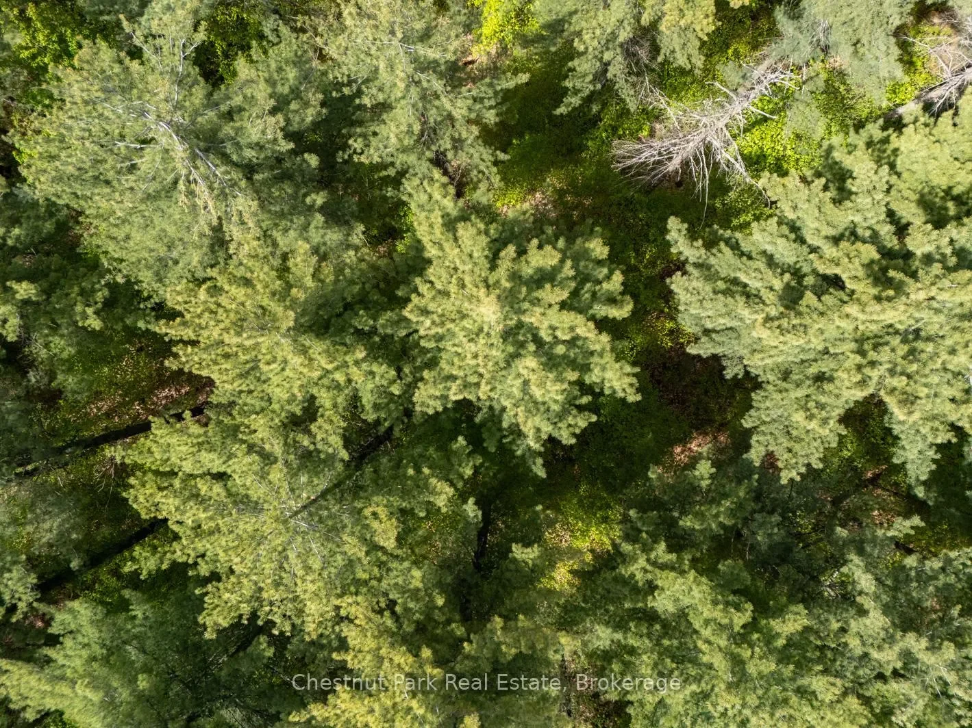 Gallery photo 11