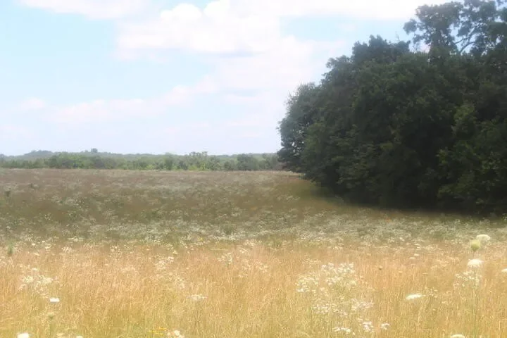 3176 S 170th Road, Polk, MO 65727, Bolivar, Missouri, United States. - Photo 27