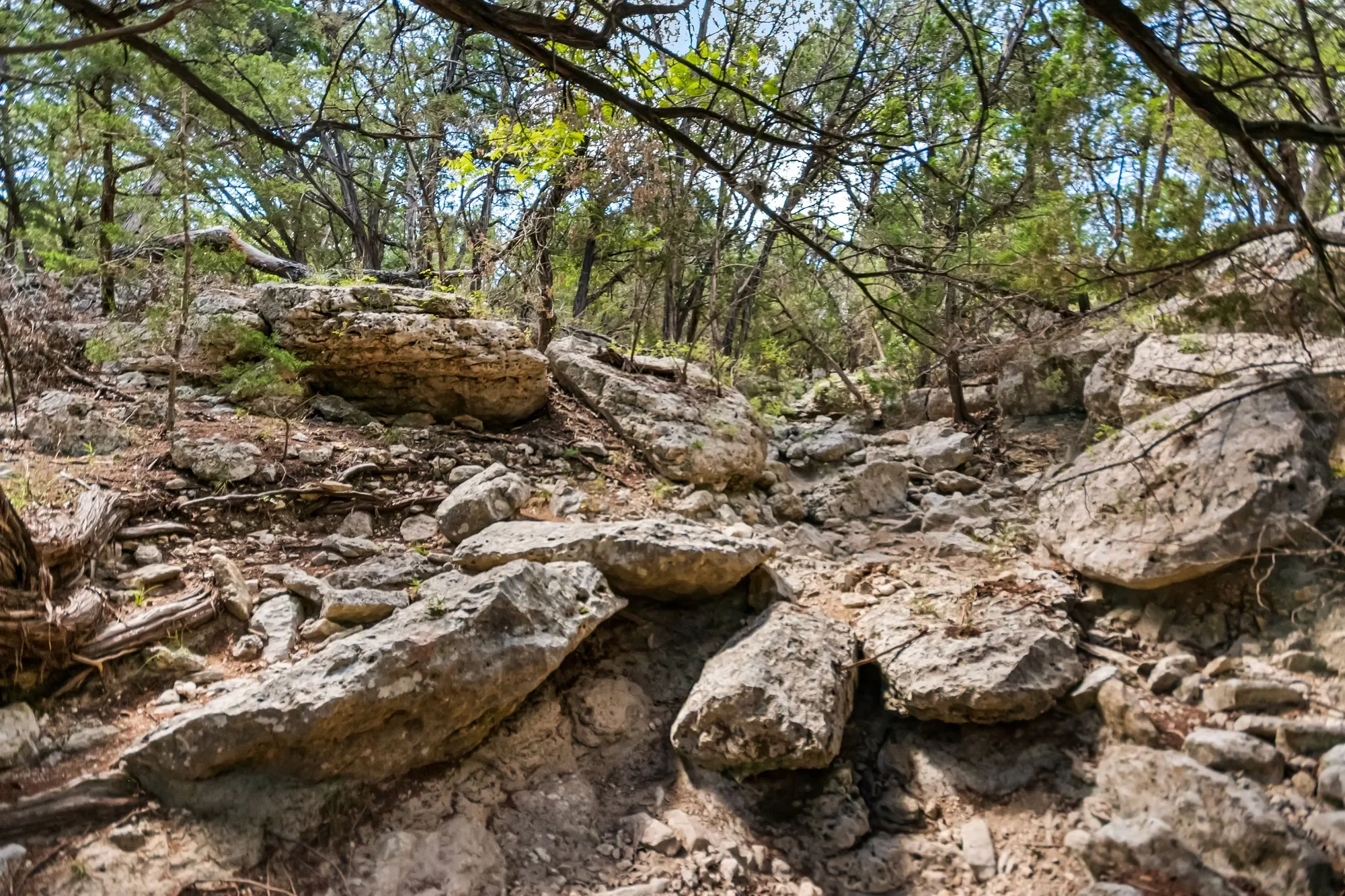4366 Whartons Dock Road , Bandera, TX 78003, Bandera, Texas, United States. - Photo 26