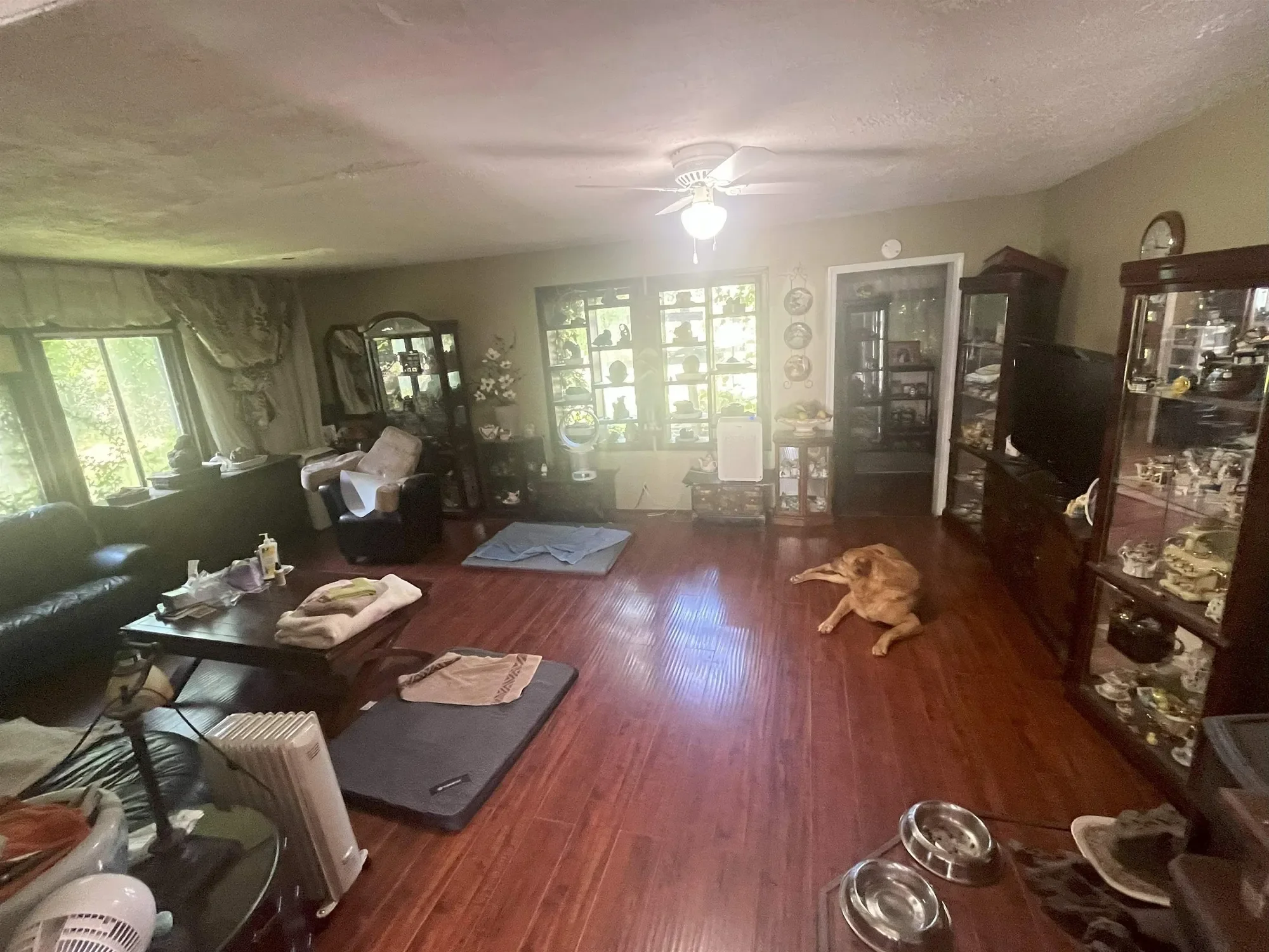 Gallery photo 5