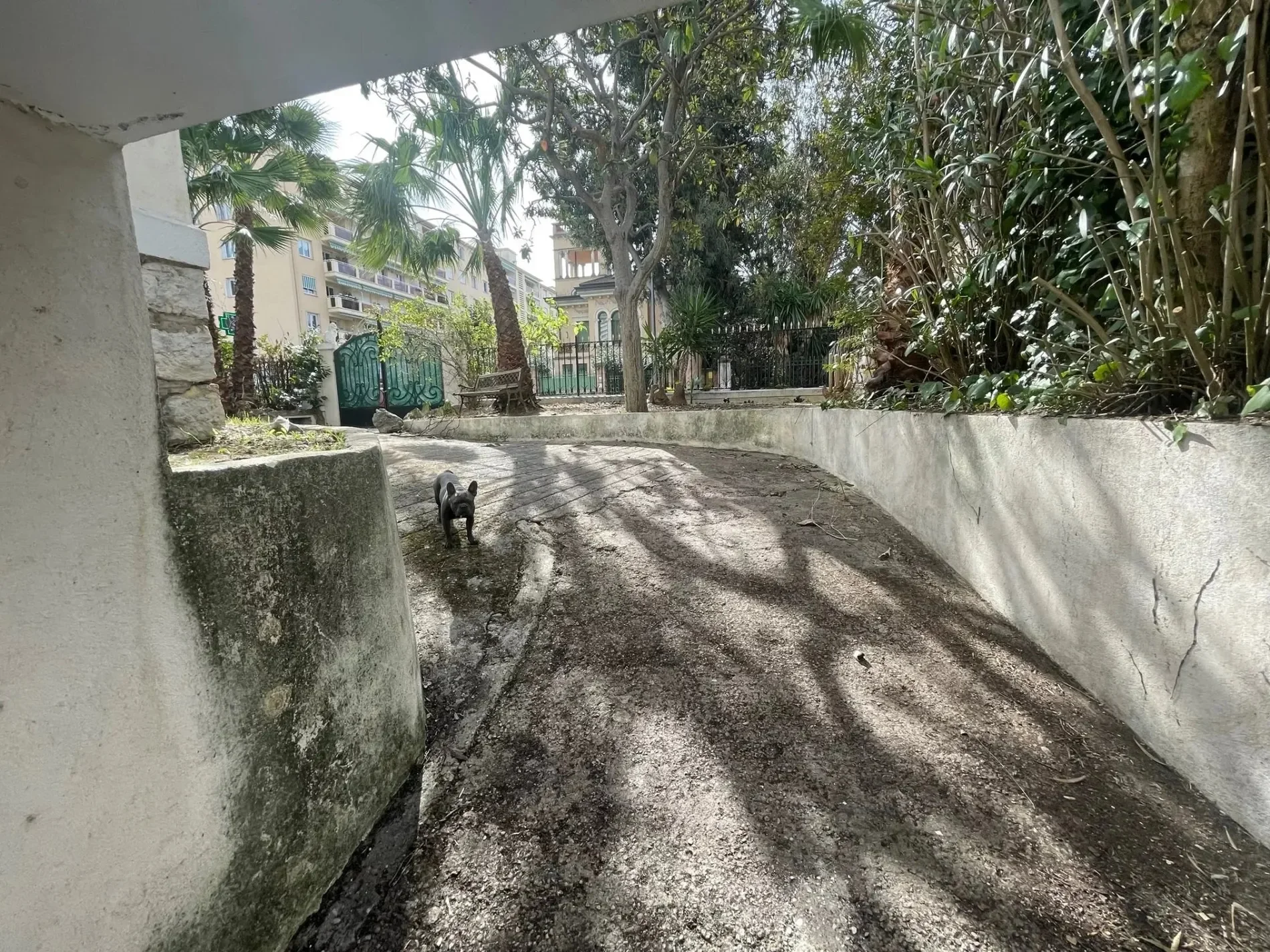 Exterior photo 6