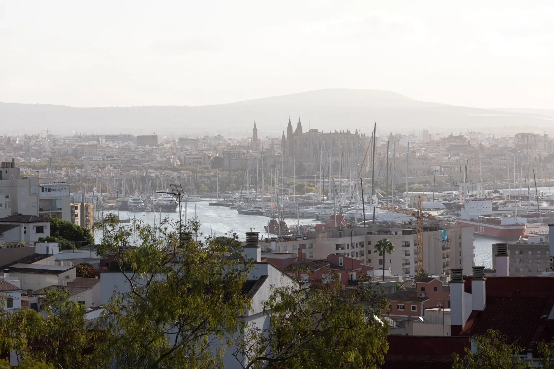 Gallery photo 4
