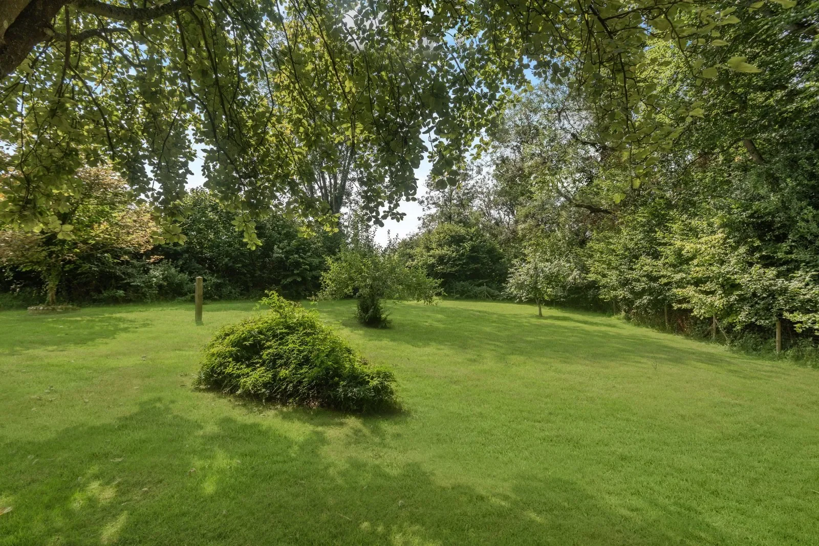 Gallery photo 9