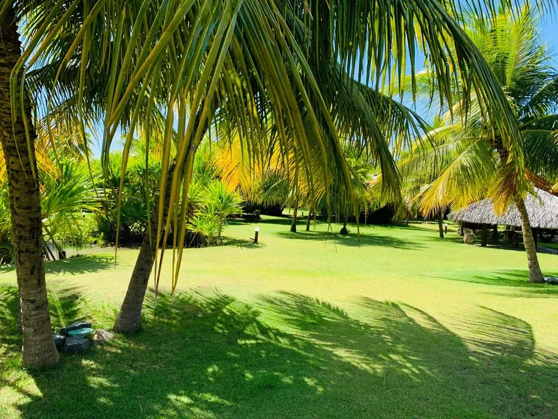 Beachfront Inn For Sale in Paradise - Alagoas