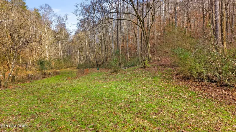 158 & 168 County Road 484, Englewood, TN 37329, Englewood, Tennessee, United States. - Photo 35