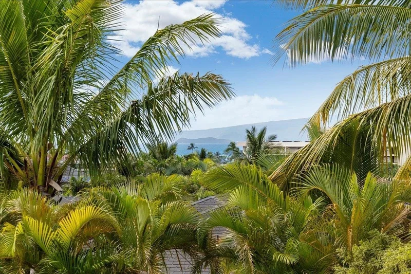 30 Laukahi St, Kihei, HI 96753, Kihei, Hawaii, United States. - Photo 14