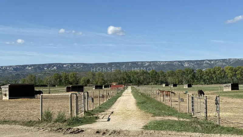 Mallemort, Provence-Alpes-Côte d'Azur, France. - Photo 13