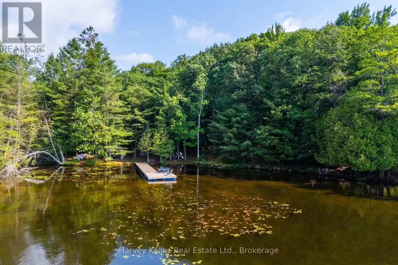 1254 Barlochan Road, Muskoka Lakes (Wood (Muskoka Lakes)), ON, P1P1R2, CANADA, Gravenhurst, Ontario, Canada. - Photo 17