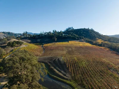 Thumbnail 61