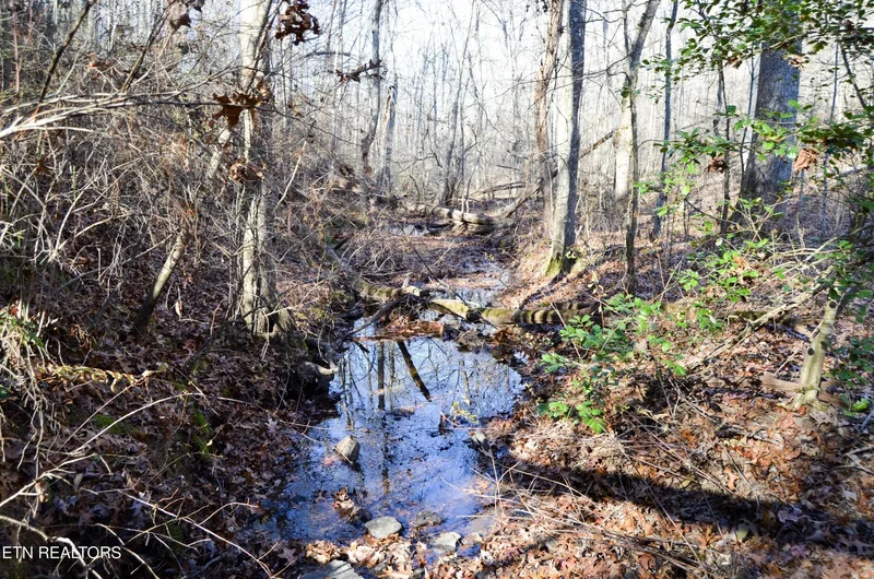 Sparta Hwy 63.3 Acres, Crossville, TN 38555, Crossville, Tennessee, United States. - Photo 30