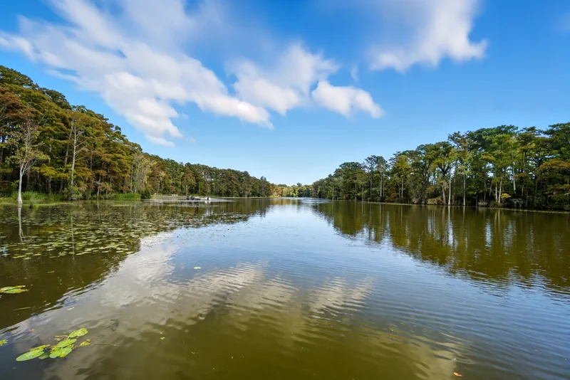 723 McMullan Ave Unit #604, Edenton, NC 27932, Edenton, North Carolina, United States. - Photo 39