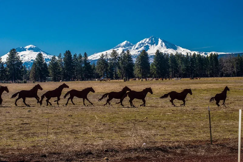 67134 Central, Bend, OR, 97703, USA, Bend, Oregon, United States. - Photo 41