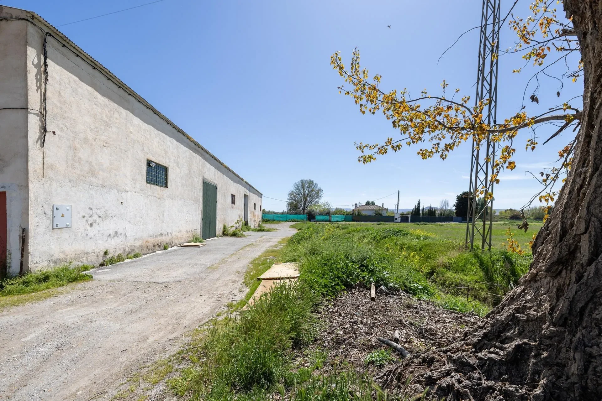 Exterior photo 4