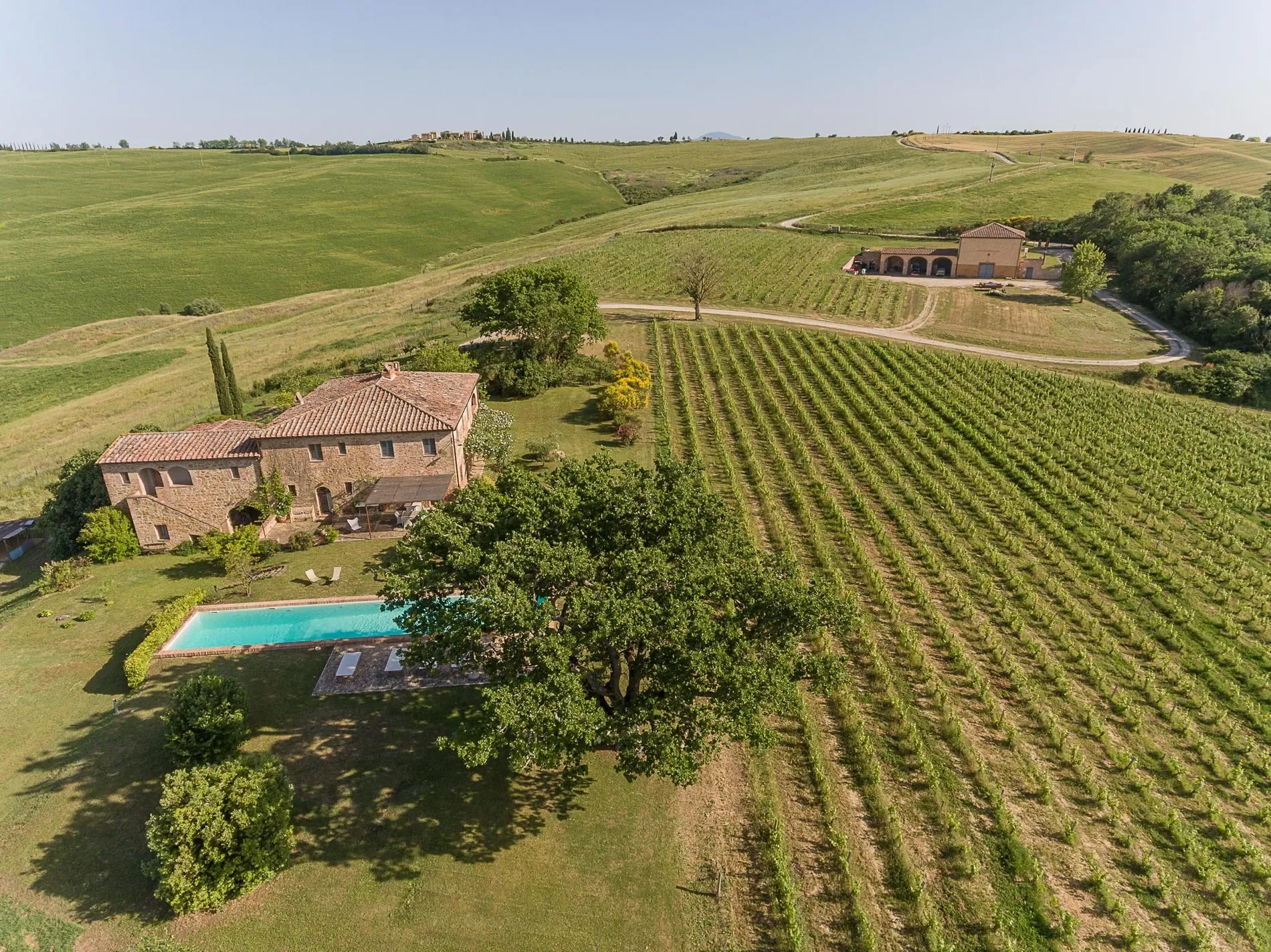 53024 Montalcino, Province of Siena, Italy, Castelnuovo dell’Abate, Tuscany, Italy. - Photo 6