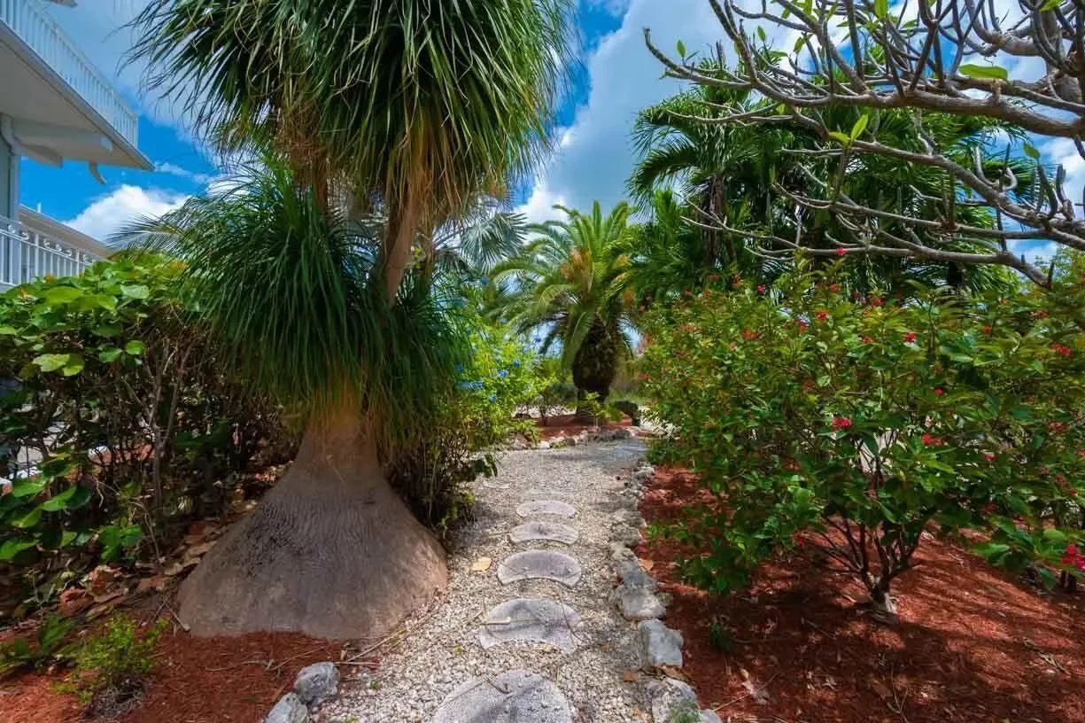 4500 Filer Cove Road, Big Torch, FL 33042, Big Pine Key, Florida, United States. - Photo 42