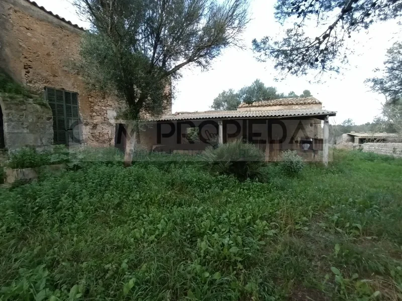 Felanitx, Balearic Islands, Spain. - Photo 6