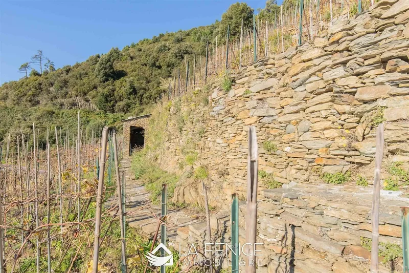 Liguria, Italy. - Photo 13