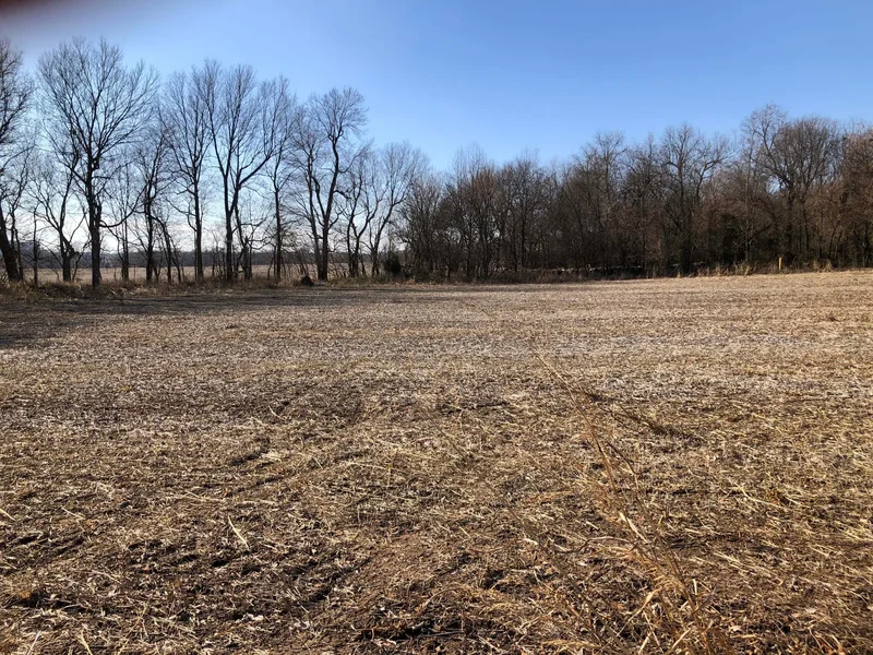Tbd W Farm Road 148, Republic, MO 65738, Republic, Missouri, United States. - Photo 5