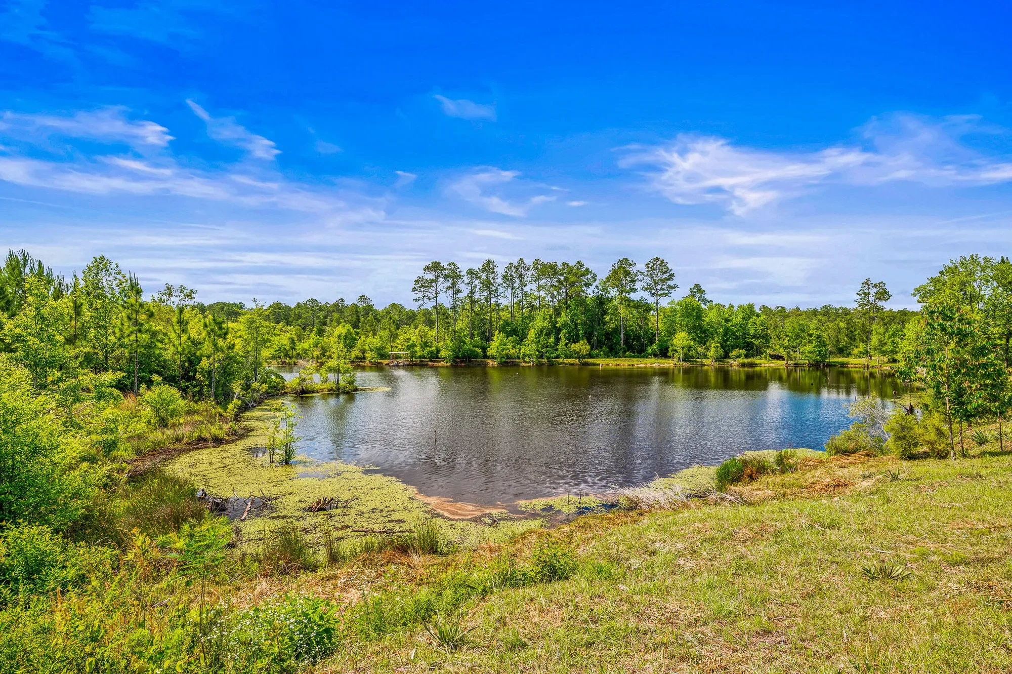 5105 Pasco Broxson Circle, Holt, FL 32564, Holt, Florida, United States. - Photo 56