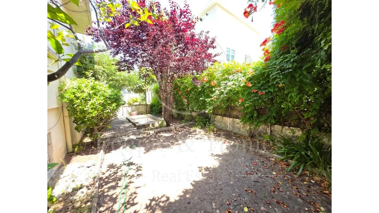 Gallery photo 11