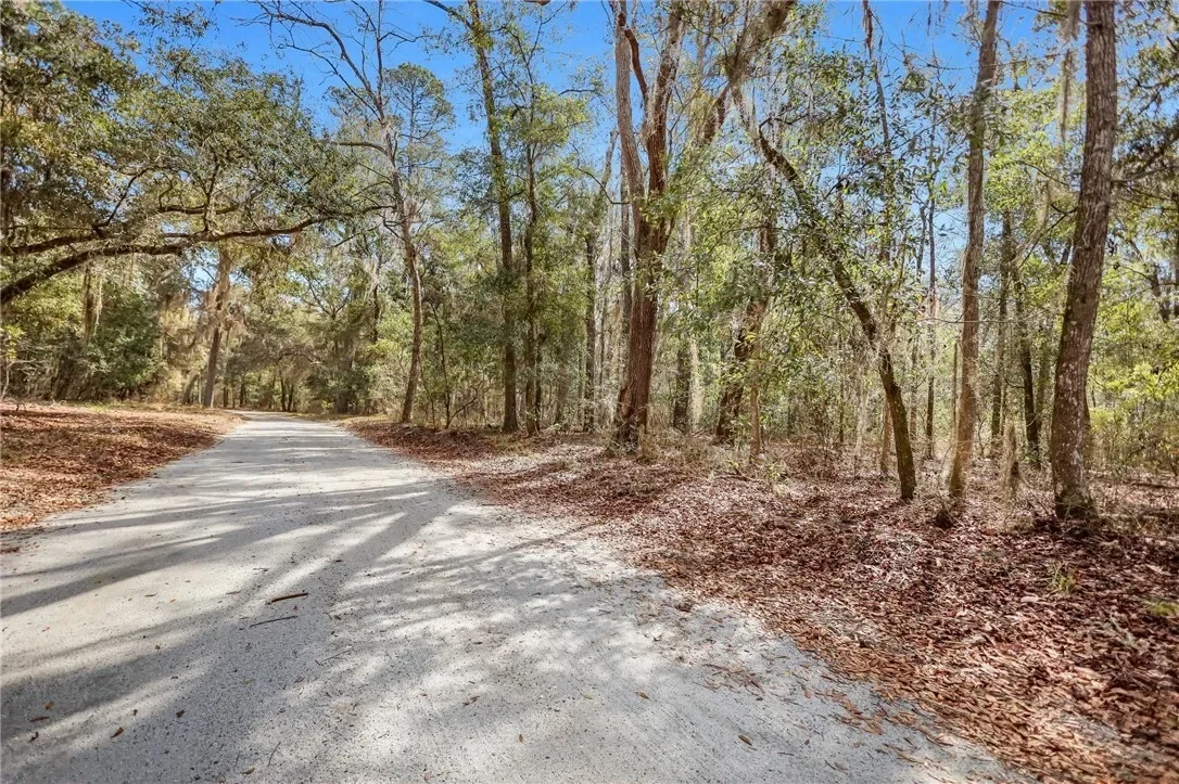 0 Drizzle Bluff Road, Woodbine, GA 31569, Woodbine, Georgia, United States. - Photo 4