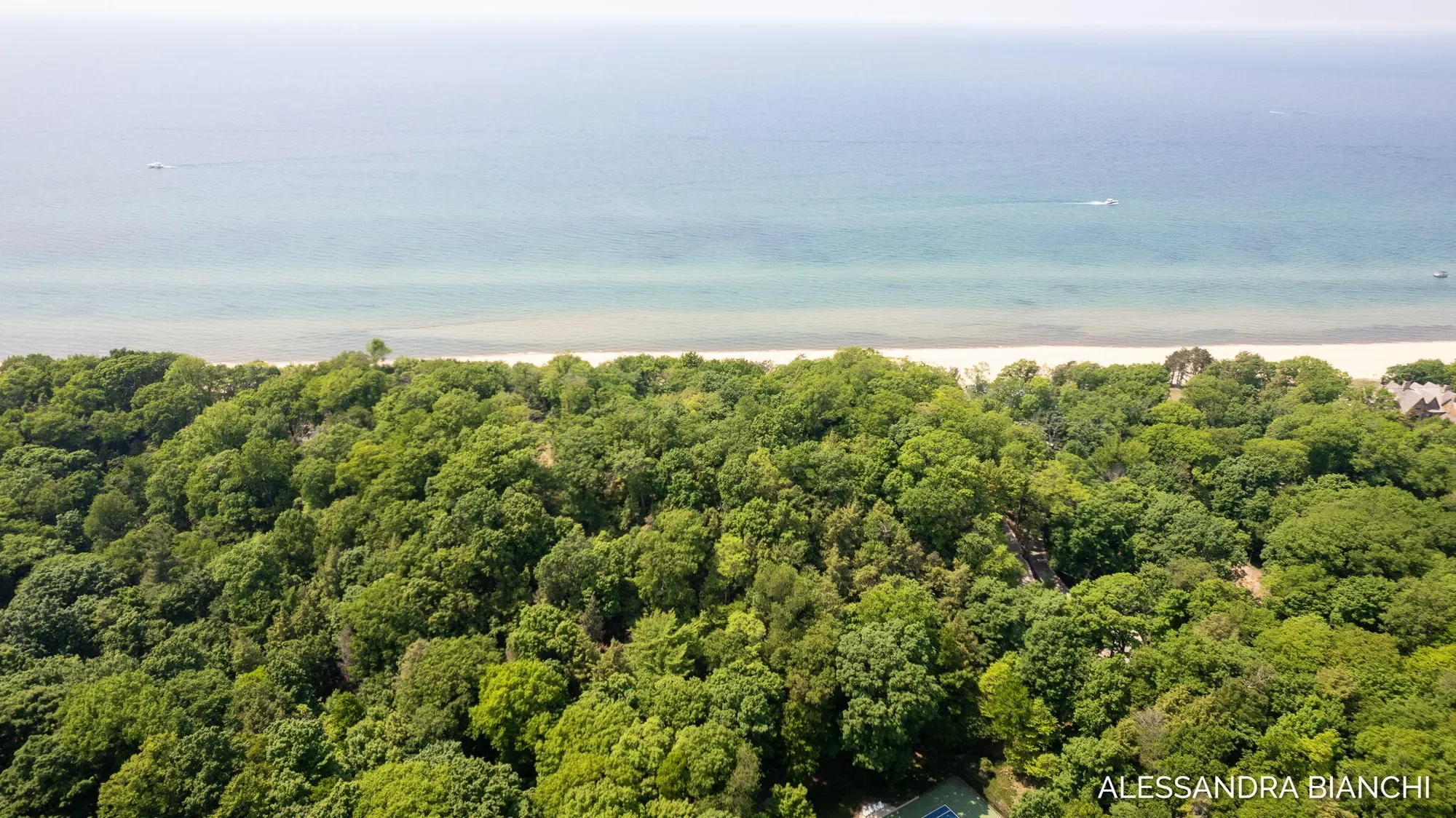225 Dunegrass Ridge Drive, Saugatuck, MI 49453, Fennville, Michigan, United States. - Photo 14