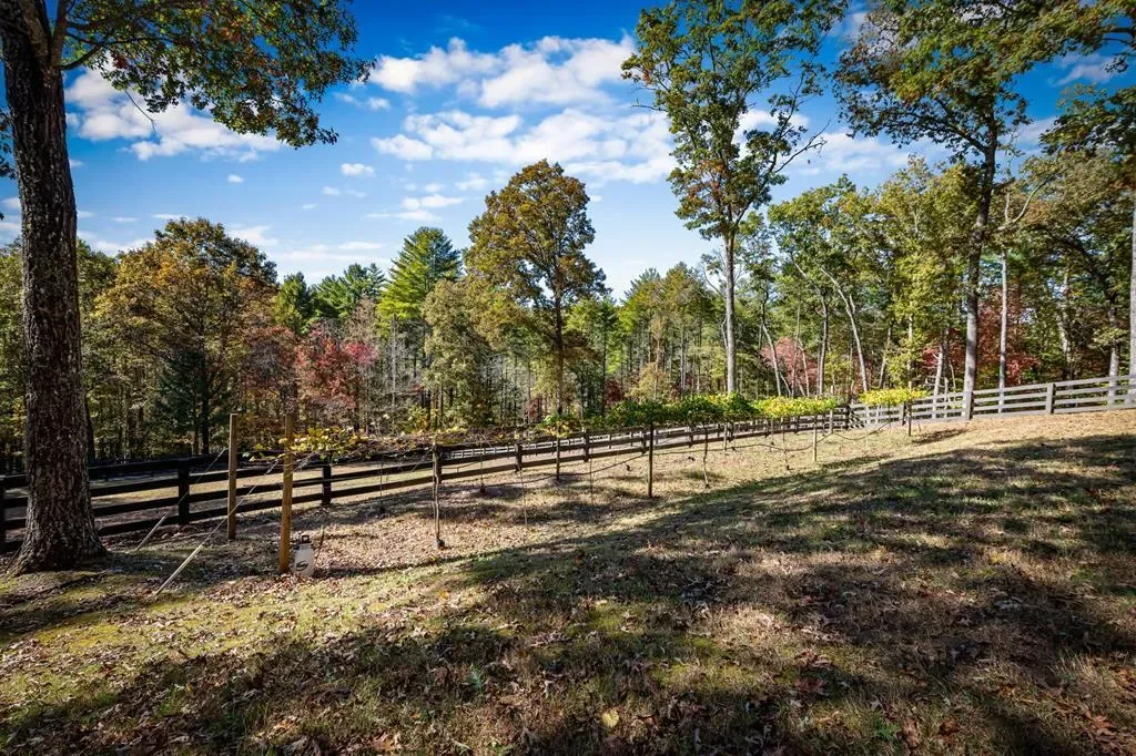 212 Dogpatch Lane, Blue Ridge, Georgia, United States. - Photo 37
