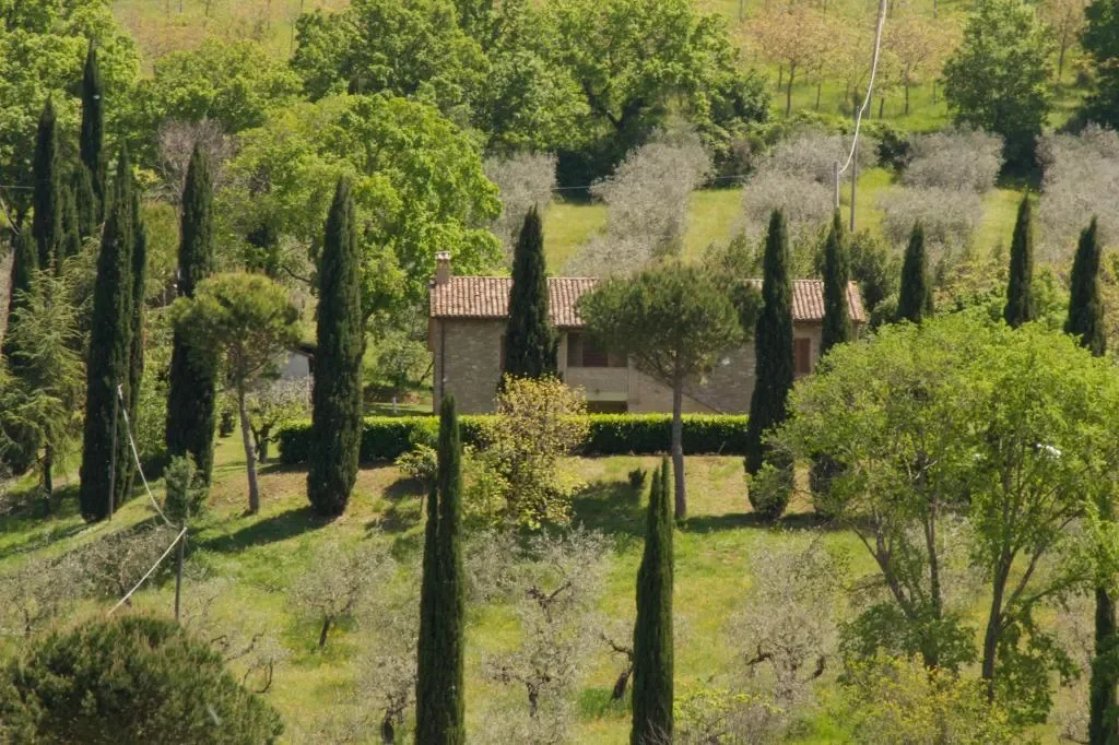 Frazione Mora, Umbria, Italy. - Photo 11