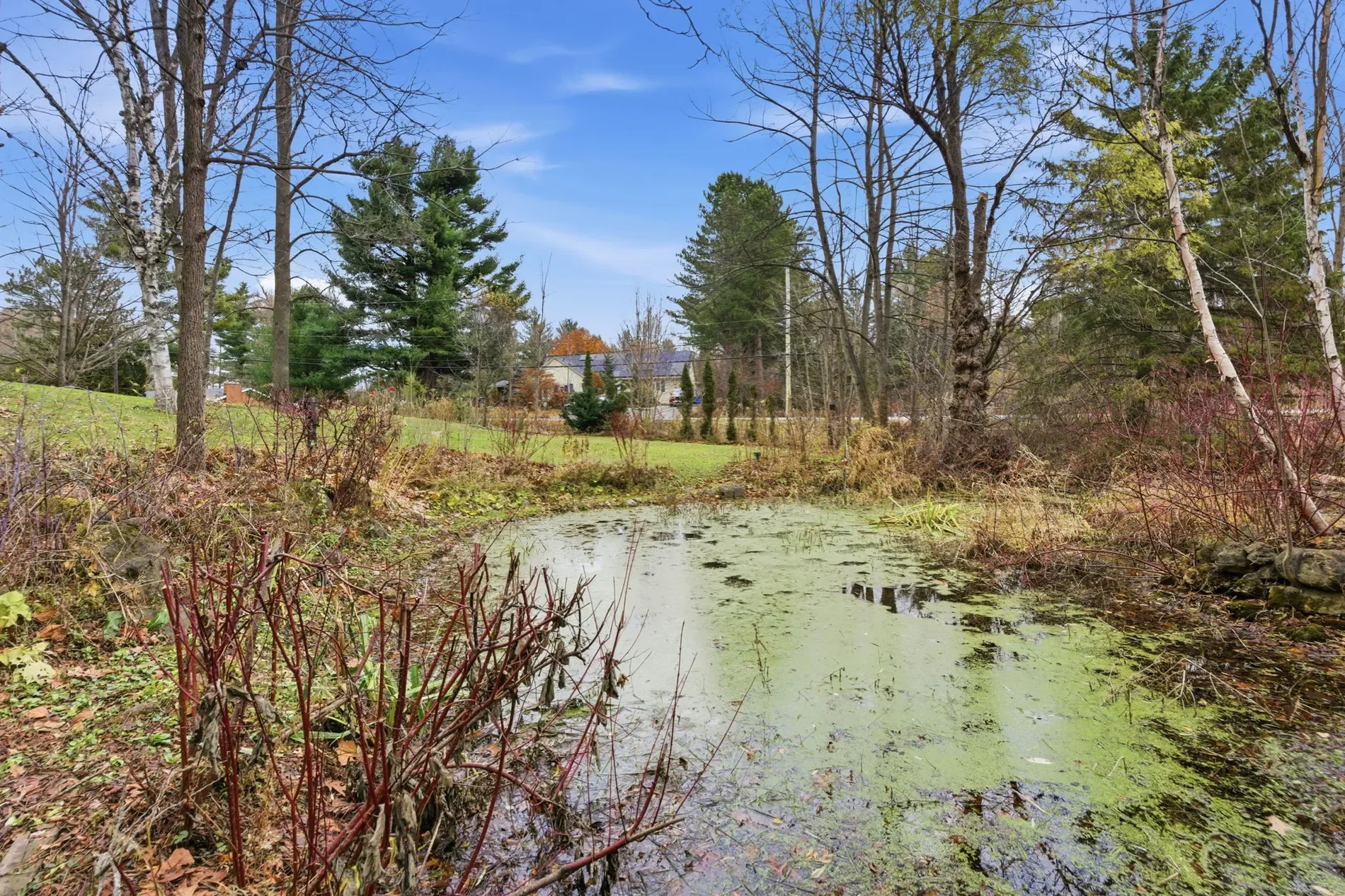 Looking for space, privacy, and the true magic of country living?