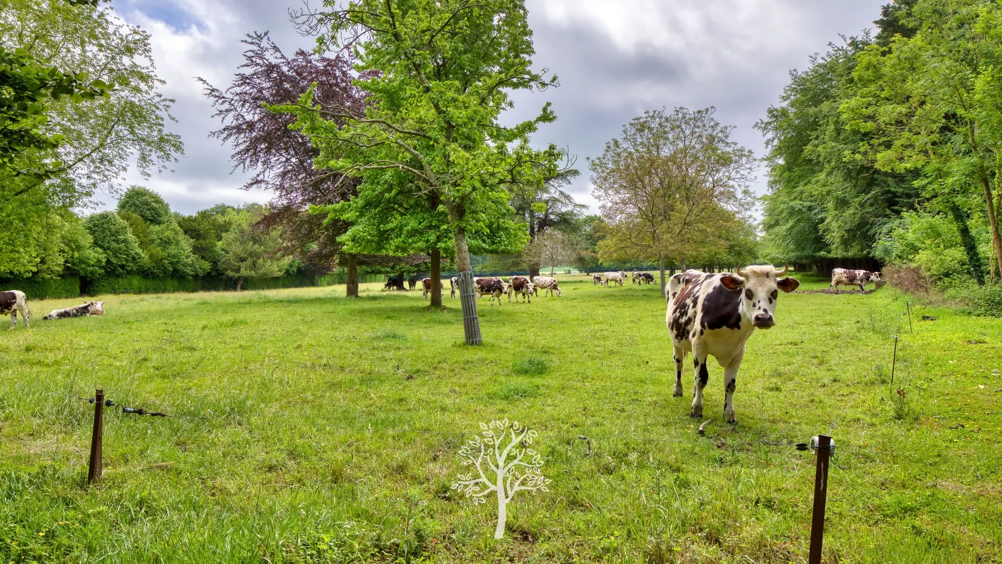 Saint-Valery-en-Caux, Normandy, France. - Photo 19