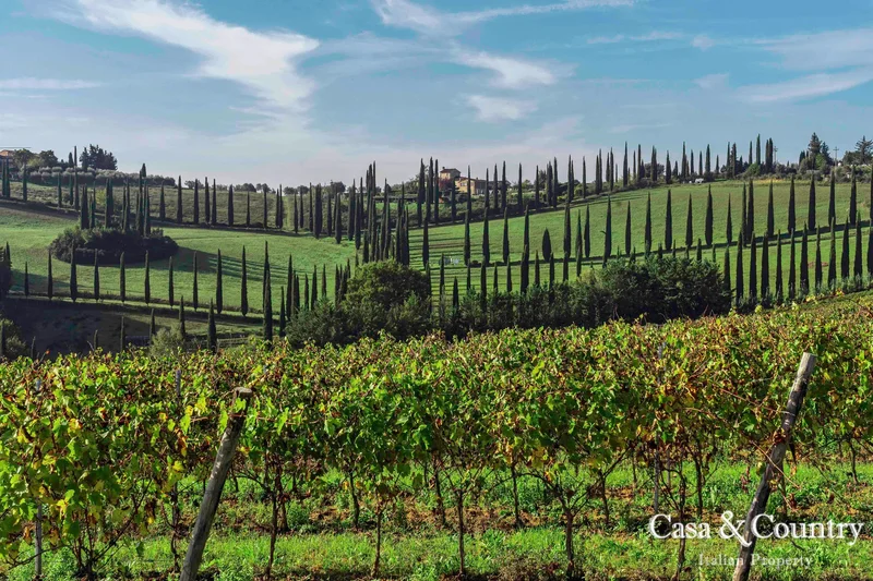 TUSCANY, San Gimignano, Tuscany, Italy. - Photo 43