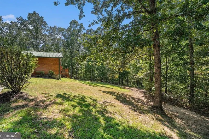 370 Davis Road, Blue Ridge, GA 30513, Blue Ridge, Georgia, United States. - Photo 47