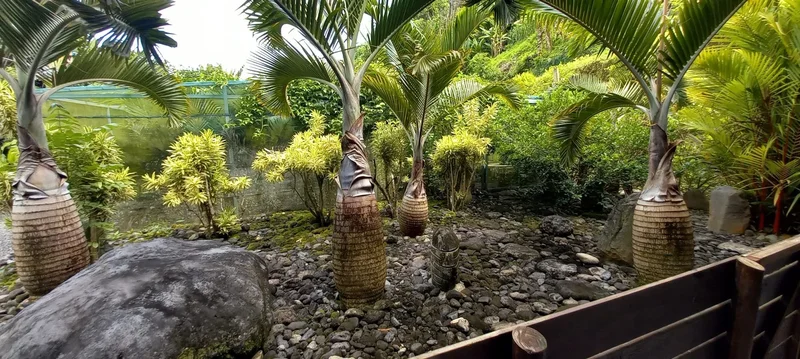 Taravao, Taravao, Windward Islands, French Polynesia. - Photo 3