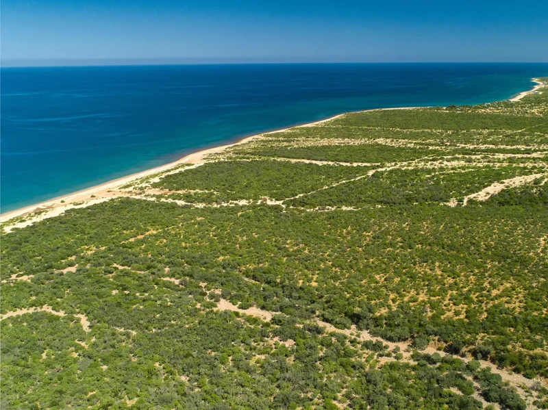 Piedras Primeras, Boca del Álamo, Baja California Sur, Mexico. - Photo 16