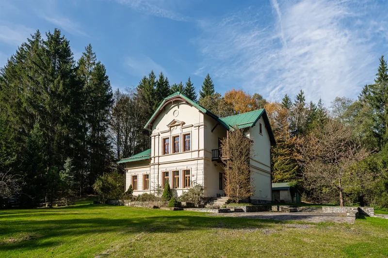 Secluded Forest House