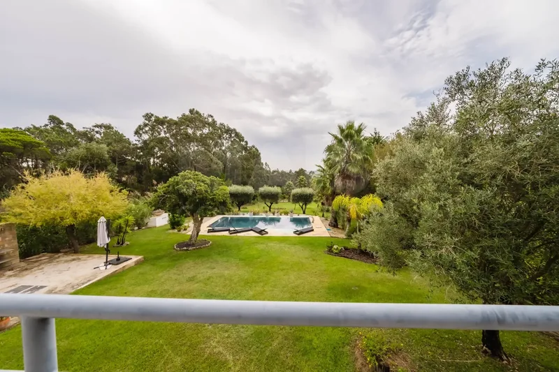 Nadadouro, Leiria District, Portugal. - Photo 15