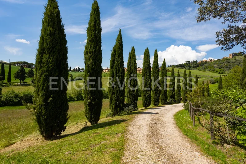 53026 Pienza, Province of Siena, Italy, Pienza, Tuscany, Italy. - Photo 7