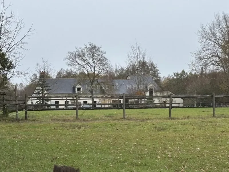 Rare ! Propriété équestre clé en main à 15 min de Saumur
